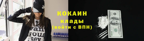 прущие грибы Белокуриха